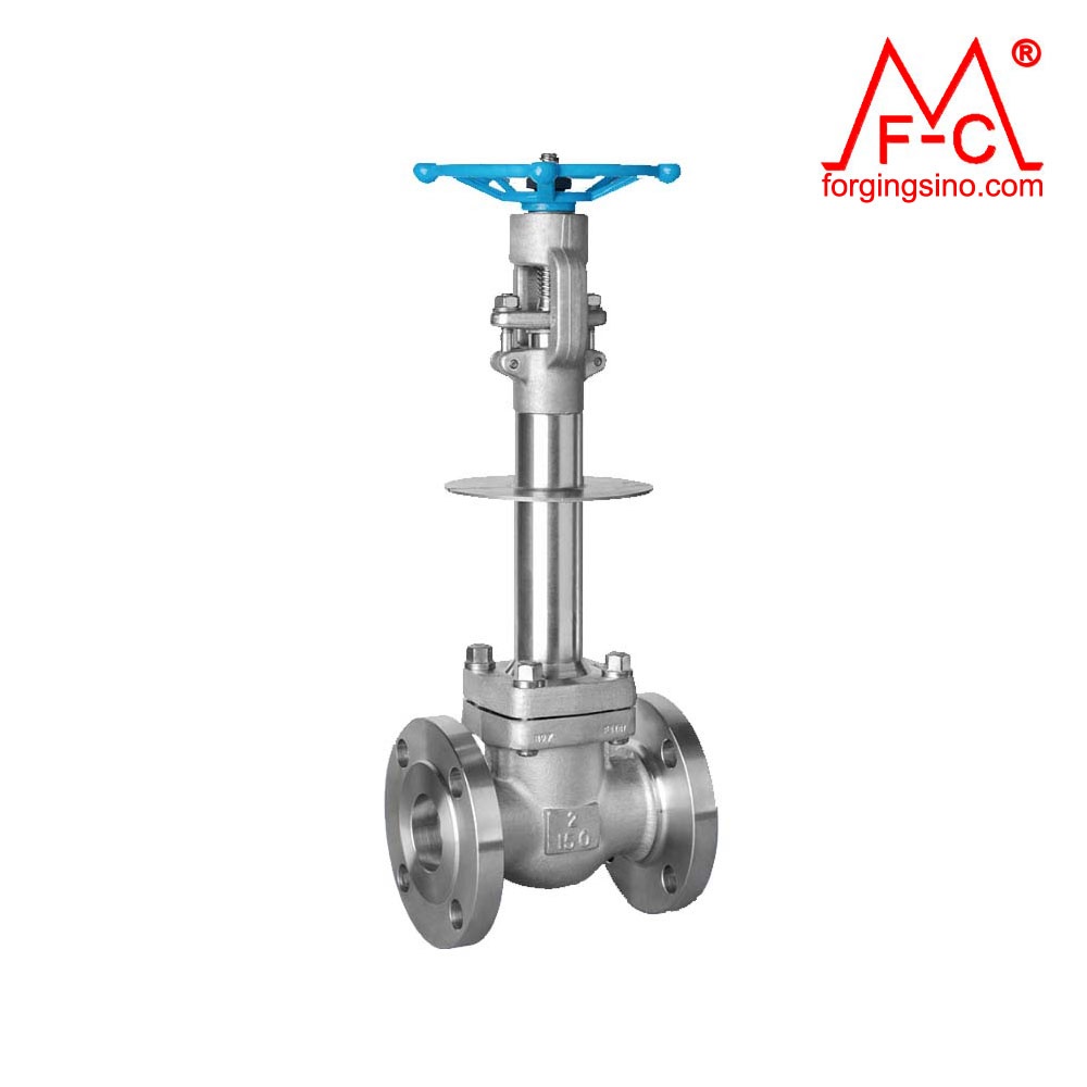 M0490 Forged Globe Valve Flange Pipe Fittings Gate/Check Valve Machining