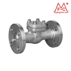 M0272 Forged Check Valve Flange Pipe Fittings Gate/Globe Ball Valve Machining