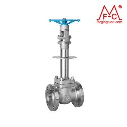 M0490 Forged Globe Valve Flange Pipe Fittings Gate/Check Valve Machining