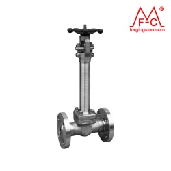 M0491 Forged Globe Valve Flange Pipe Fittings Gate/Check Valve Machining