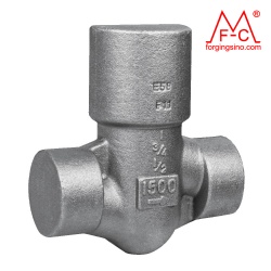 M0495 Hot Forged Valve Body Gate/Globe Ball/Check Valve with Flange Pipe Fittings