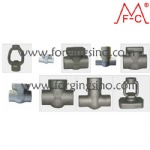 M0025 Forged pipe fittings